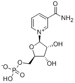 99% NMN β-煙酰胺單核苷酸