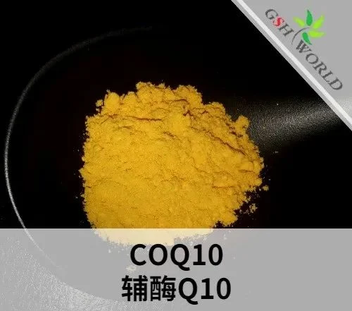 輔酶Q10原料的概述和應用