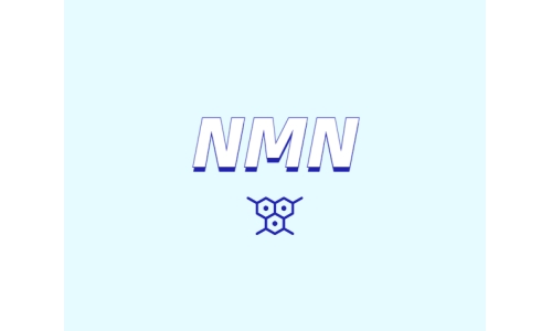 哪里可以買到 nmn？