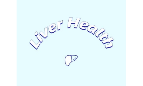 哪些原料可助力肝臟健康？